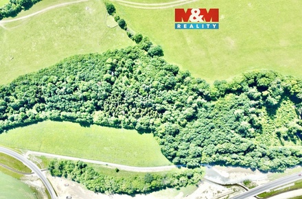 Prodej lesa 12 990 m², Vyšehoří