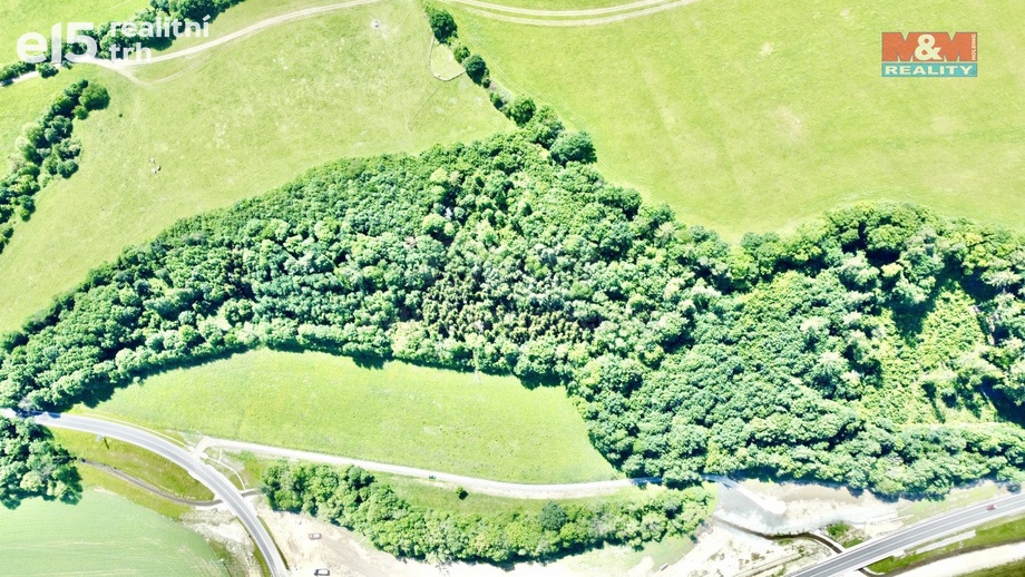 Prodej lesy, 12 990 m² - Vyšehoří