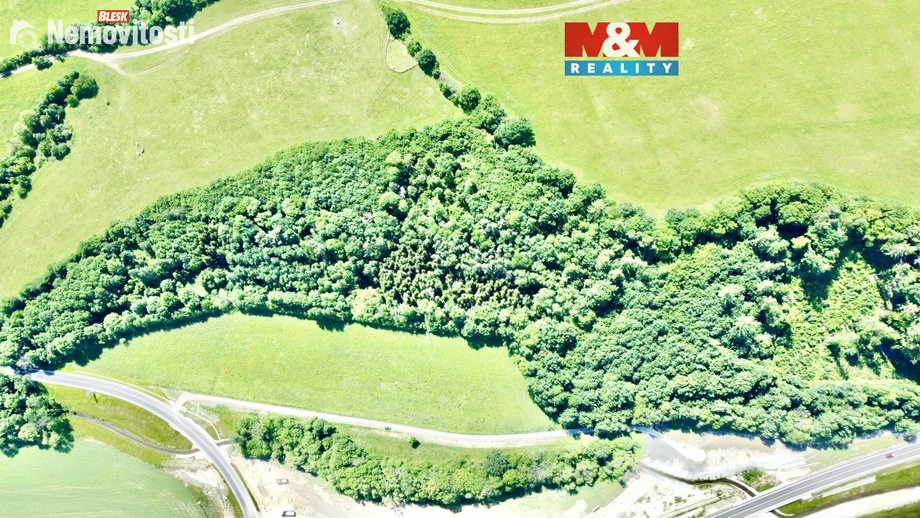 Prodej lesa 12 990 m², Vyšehoří