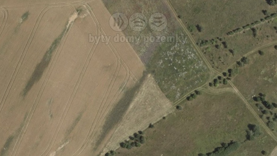 Prodej zemědělská půda, 7 249 m² - Brodek u Konice