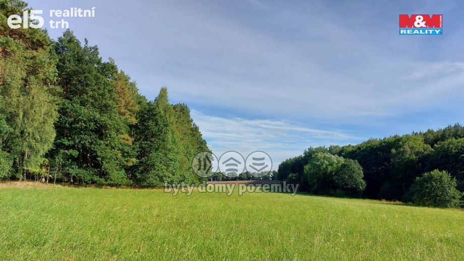 Prodej lesy, 4 924 m² - Paceřice