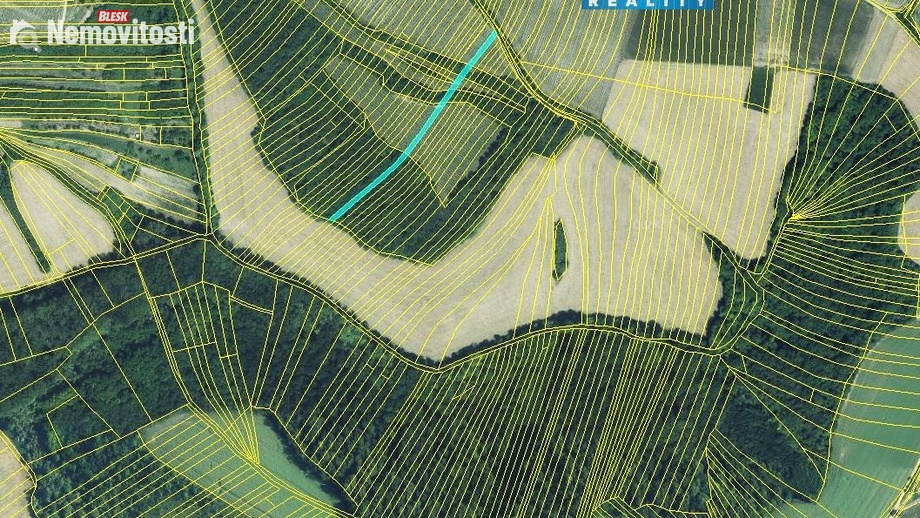 Prodej lesa 553 m², Křepice