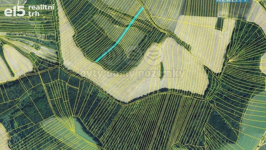 Prodej lesy, 553 m² - Křepice