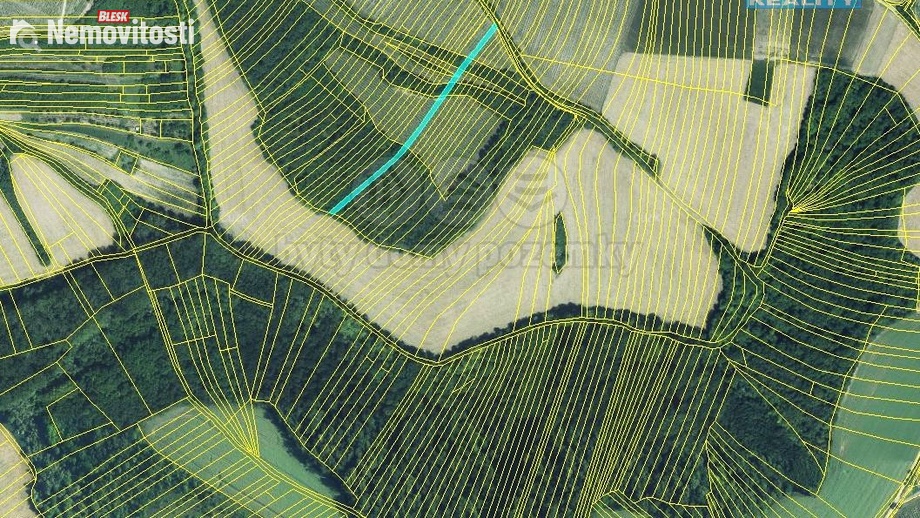 Prodej lesa 553 m², Křepice