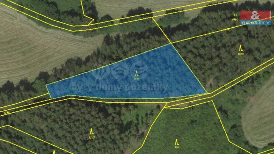 Prodej lesa 38 344 m², Borovnice