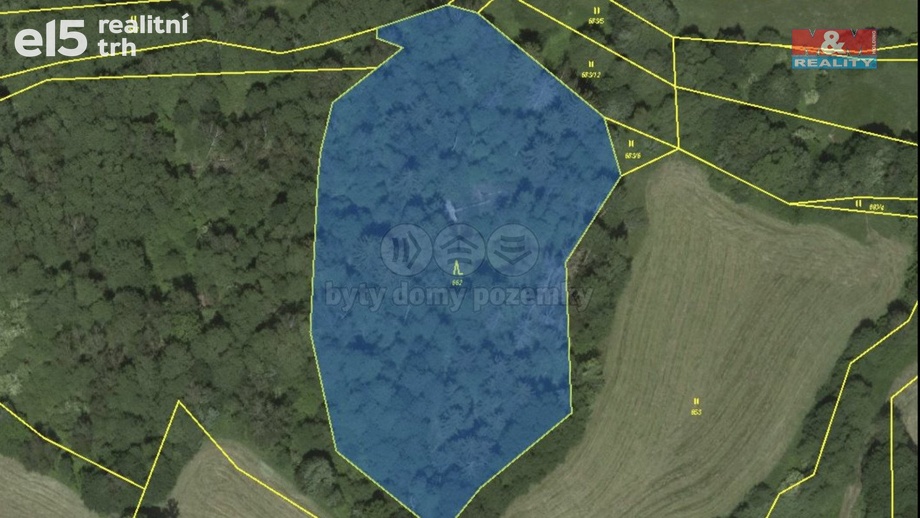 Prodej lesy, 38 344 m² - Borovnice