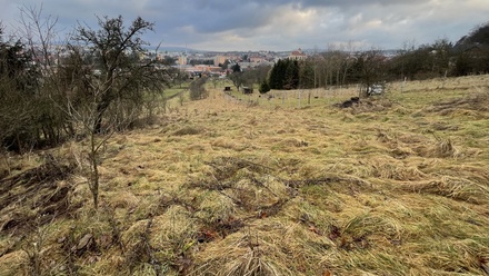 Prodej zahrady 1 911 m², Boskovice