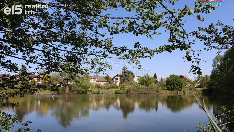 Prodej rybník, 8 903 m² - Lešany - Břežany