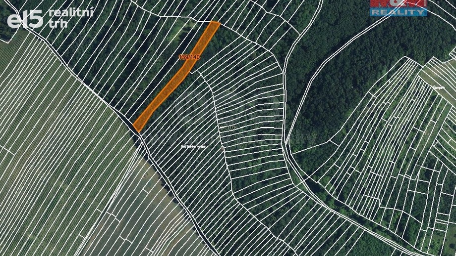 Prodej lesy, 3 219 m² - Horní Bojanovice