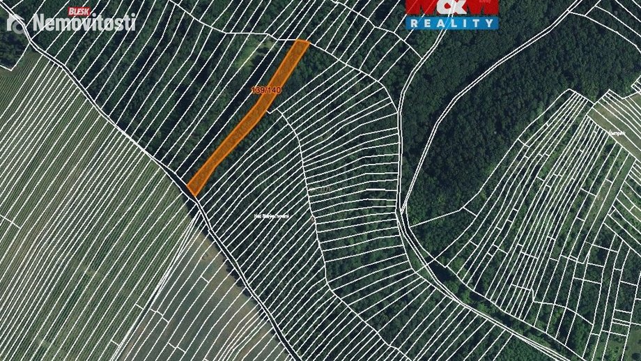 Prodej lesa 3 219 m², Horní Bojanovice