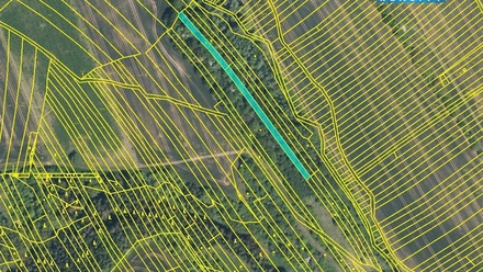 Prodej louky 1 189 m², Jalubí