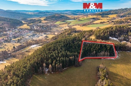 Prodej lesa 13 448 m², Malenice