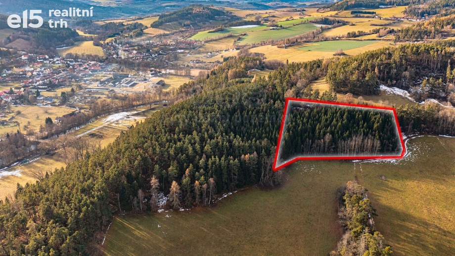 Prodej lesy, 13 448 m² - Malenice