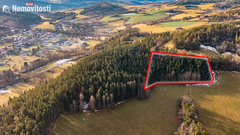 Prodej lesa 13 448 m², Malenice