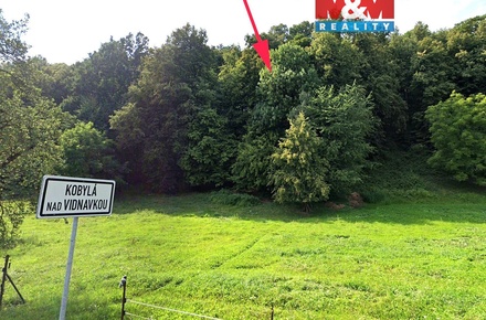 Prodej lesa 1 876 m², Kobylá nad Vidnavkou
