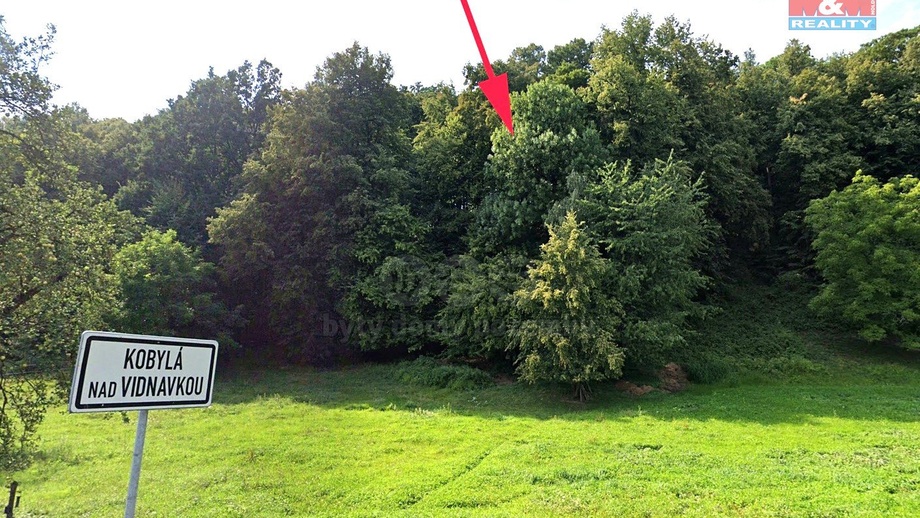 Prodej lesy, 1 876 m² - Kobylá nad Vidnavkou
