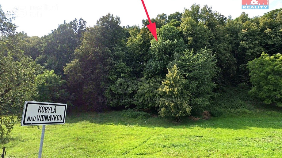 Prodej lesy, 1 876 m² - Kobylá nad Vidnavkou