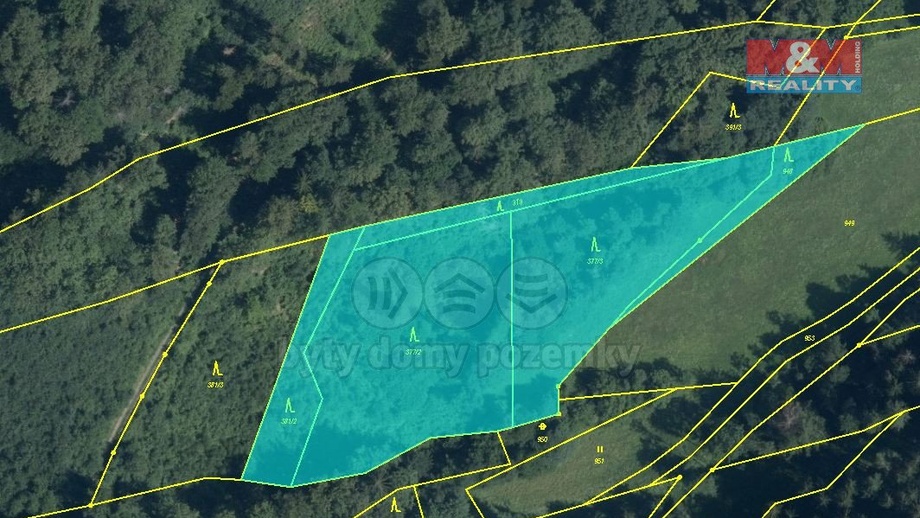 Prodej lesy, 8 828 m² - Olšany