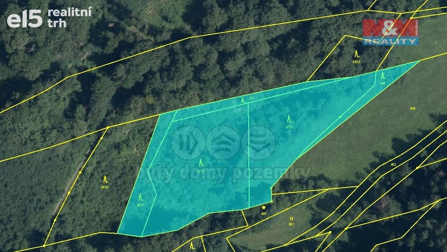 Prodej lesy, 8 828 m² - Olšany