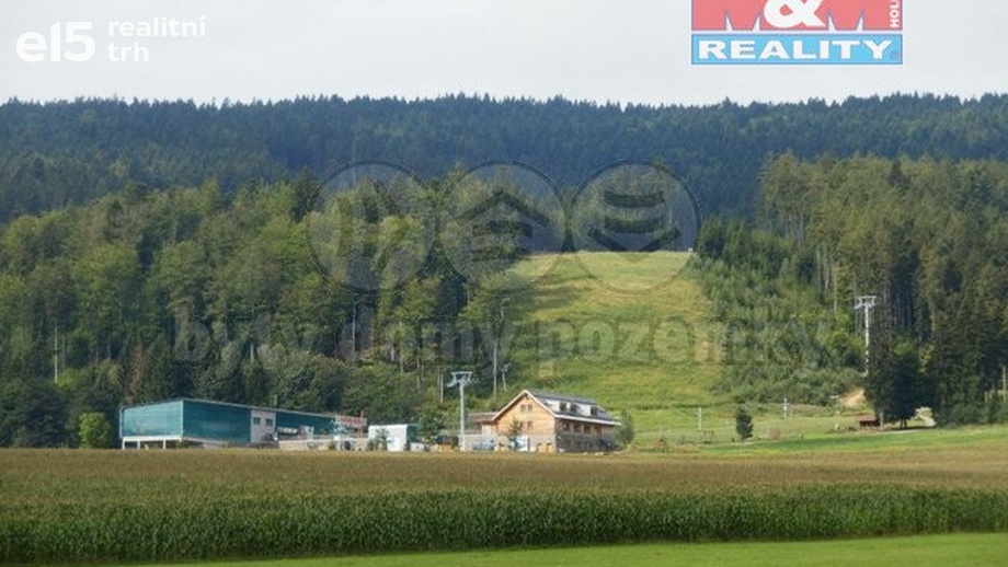 Prodej pozemky pro bydlení, 7 131 m² - Červená Voda - Mlýnický Dvůr
