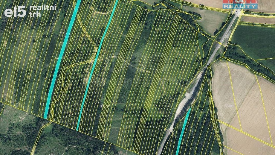 Prodej lesy, 28 654 m² - Nová Hradečná