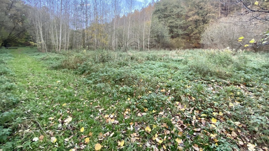Prodej zahrady 1 730 m², Ostrava - Plesná