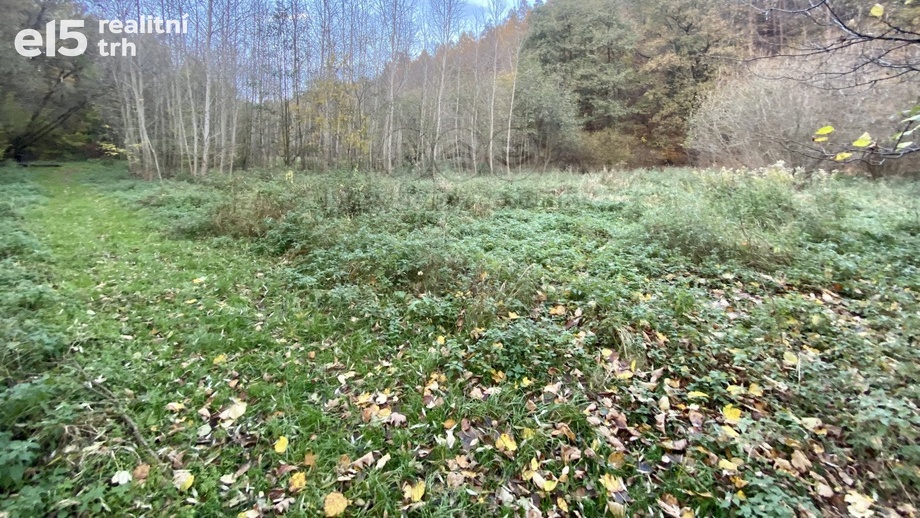 Prodej pozemky - zahrady, 1 730 m² - Ostrava - Plesná