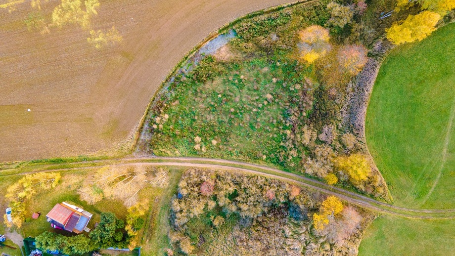 Prodej louky 672 m², Vysoká Libyně