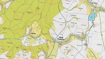 Prodej lesa 6 647 m², Nová Hradečná