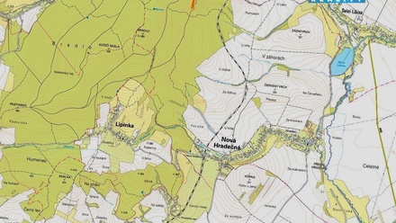 Prodej lesa 6 647 m², Nová Hradečná