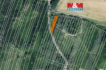 Prodej lesa 6 647 m², Nová Hradečná