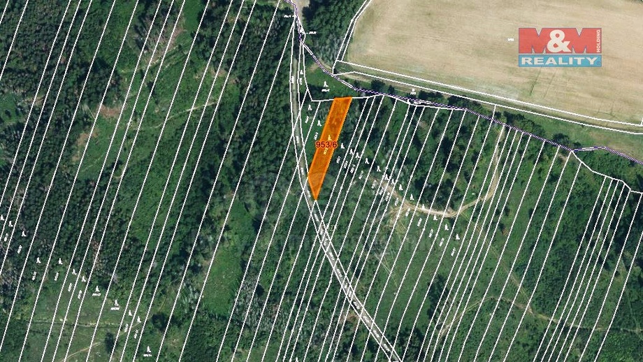 Prodej lesy, 6 647 m² - Nová Hradečná