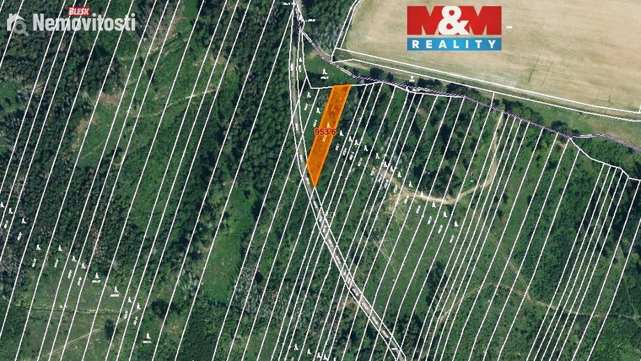 Prodej lesa 6 647 m², Nová Hradečná