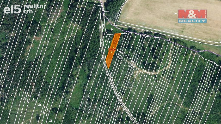 Prodej lesy, 6 647 m² - Nová Hradečná