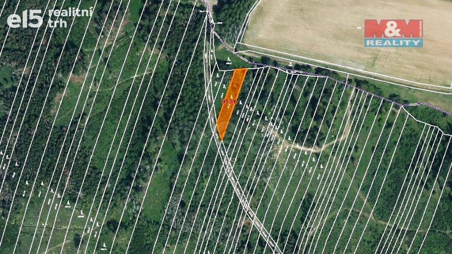 Prodej lesa 6 647 m², Nová Hradečná