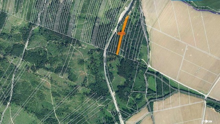 Prodej lesa 5 346 m², Nová Hradečná