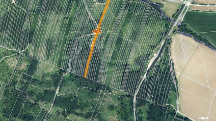 Prodej lesa 5 346 m², Nová Hradečná