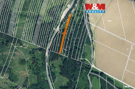 Prodej lesa 5 346 m², Nová Hradečná
