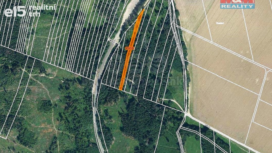 Prodej lesy, 5 346 m² - Nová Hradečná