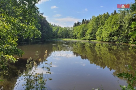 Prodej rybníku 13 432 m², Toužim