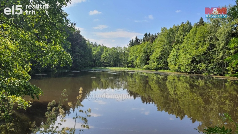 Prodej rybník, 13 432 m² - Toužim - Luhov