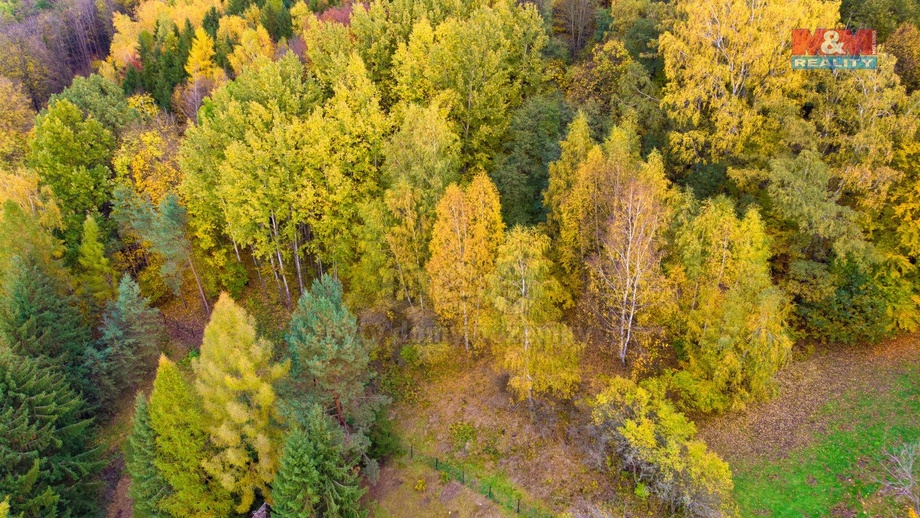 Prodej lesa 3 004 m², Skalice u České Lípy