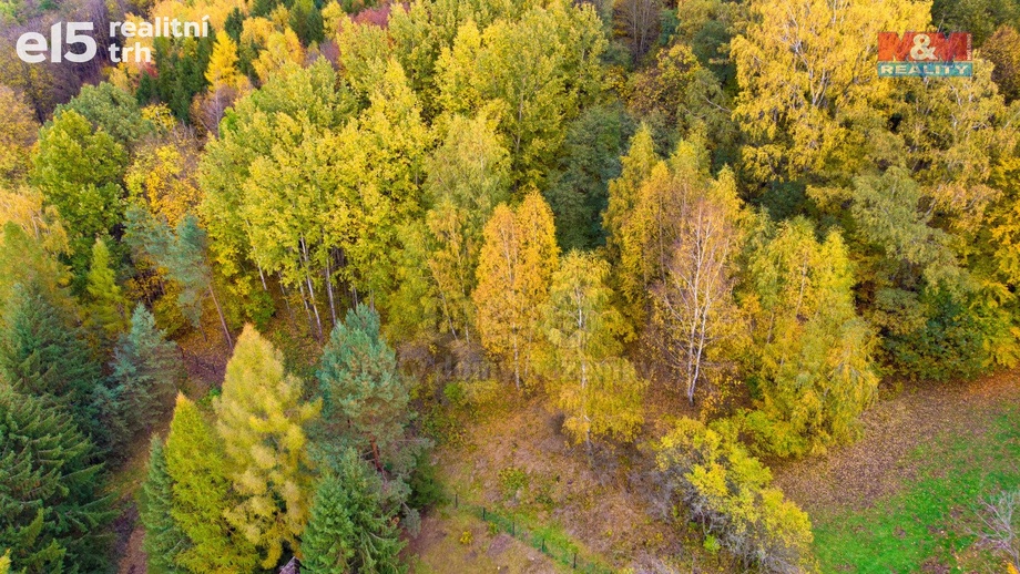 Prodej lesy, 3 004 m² - Skalice u České Lípy