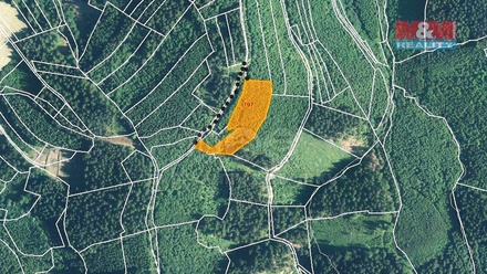 Prodej lesa 8 758 m², Lhota u Vsetína