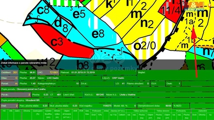 Prodej lesa 8 758 m², Lhota u Vsetína