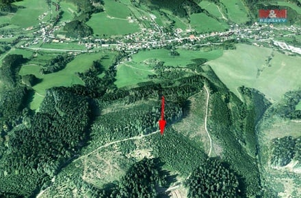 Prodej lesa 8 758 m², Lhota u Vsetína
