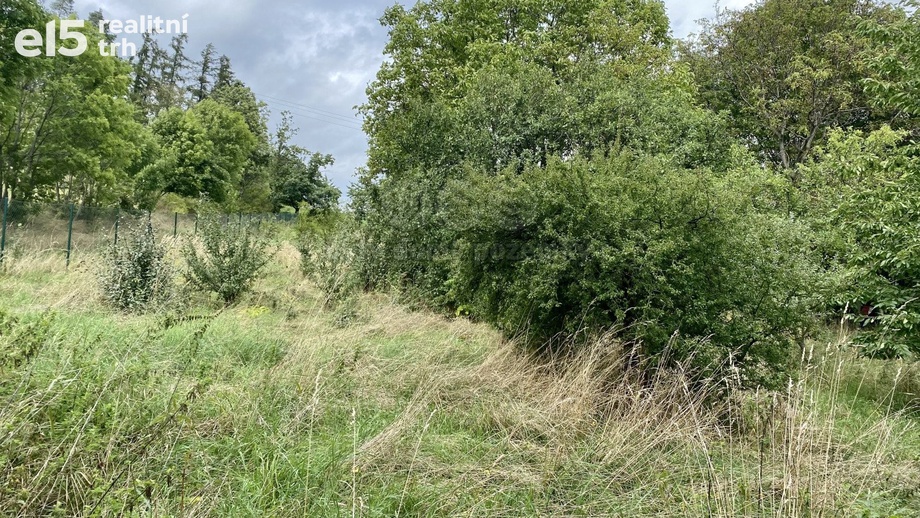 Prodej pozemky pro bydlení, 3 751 m² - Sosnová
