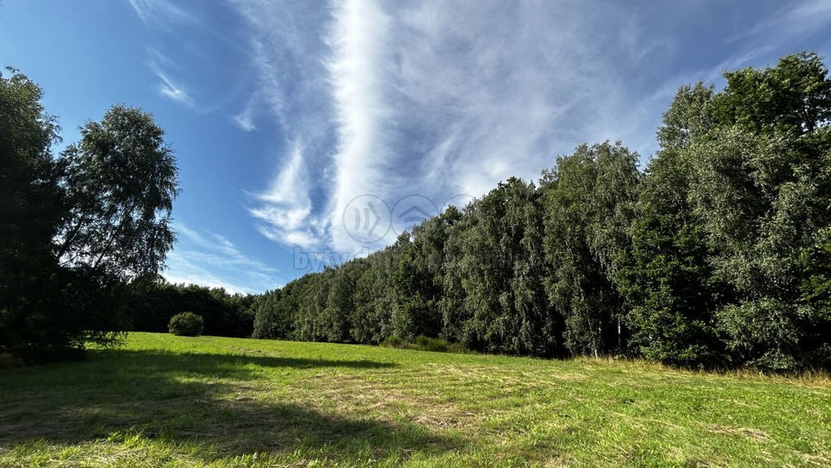 Prodej pozemky - trvalý travní porost, 7 691 m² - Petrovice u Karviné - Prstná