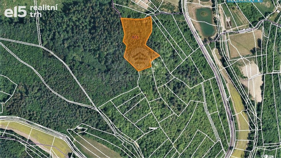 Prodej pozemky - trvalý travní porost, 4 420 m² - Jankovice