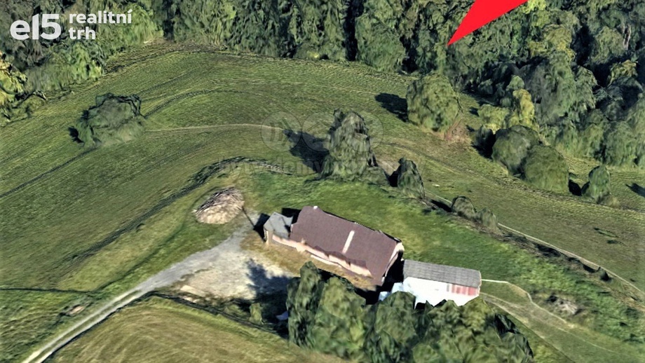 Prodej pozemky - trvalý travní porost, 1 670 m² - Koberovy